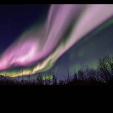 Great Natalie's Kwatera prywatna *