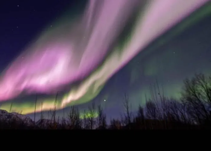 Great Natalie's Проживание в семье *