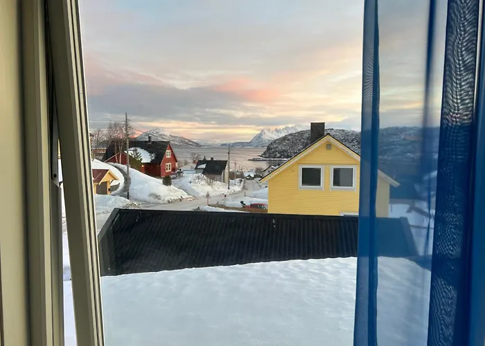 Проживание в семье Great Natalie's Skjervoy